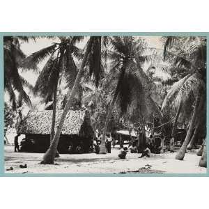  Thatched roof building,palm grove,Marshall Islands,1946 