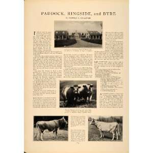  1927 Article Paddock Byre Harold Gulliver Guernsey Cow Bull Cattle 