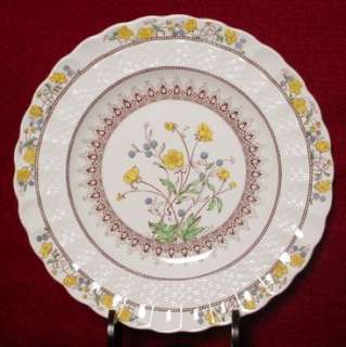 SPODE china BUTTERCUP pattern BROWN STAMP Luncheon Plate 9  