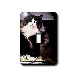  Cats   Tuxedo Cat   Light Switch Covers   single toggle switch 