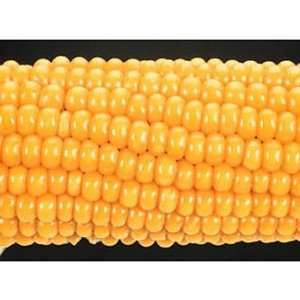 Corn Parent Ear, Purple Starchy  Industrial & Scientific