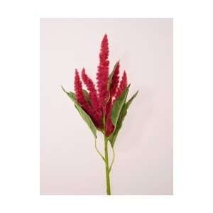  AMARANTHUS SPRAY *****