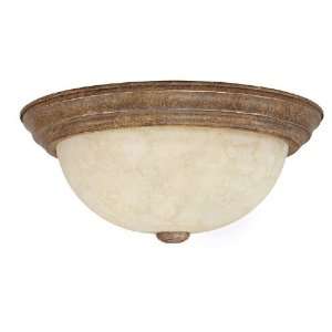 Capital Lighting Fixtures Two Light Ceiling Light Fixture With A SPICE 