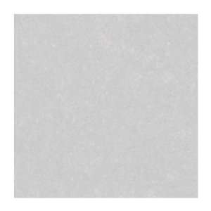   Wallcoverings PX8907 Color Expressions Texture Wallpaper, Silver Grey