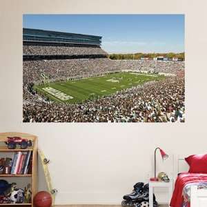   Fathead Wall Graphic Spartan Stadium Mural   NCAA