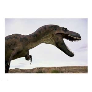  Tyrannosaurus Rex, Royal Tyrrell Museum, Drumheller 