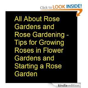 All About Rose Gardens and Rose Gardening   Tips for Growing Roses in 