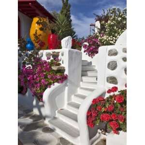  Stairs and Flowers, Chora, Mykonos, Greece Photographic 