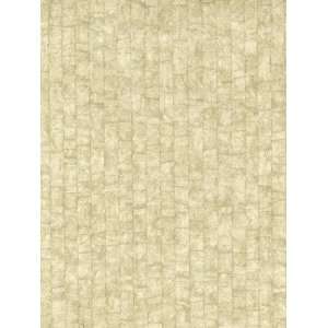   Patton Wallcovering Chronos Ironwood 8992966