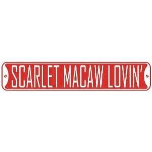 SCARLET MACAW LOVIN  STREET SIGN