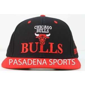  RETRO CHICAGO BULLS SNAPBACK CAP NWT nba jordan pippen 