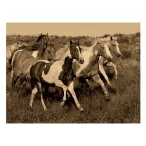  Horses Running II Giclee Poster Print by Robert Dawson 