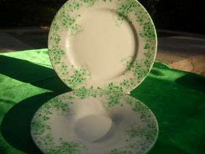 SHELLEY GREEN DAISY 7 PLATE & 5 1/2 SAUCER  