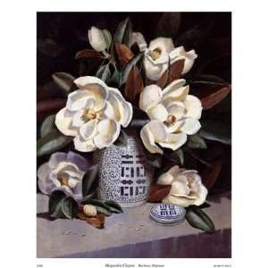   Magnolia Classic   Poster by Barbara Shipman (10x12)