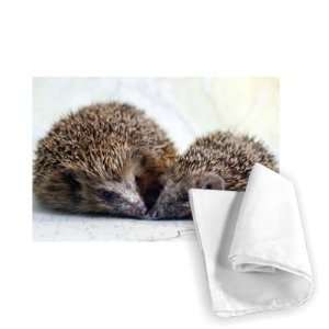  The Shiremoor Hedgehog Rescue Centre   Tea Towel 100% 