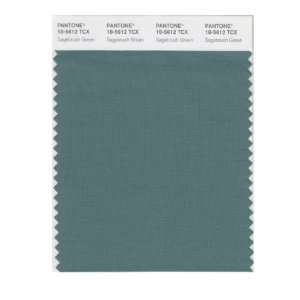  PANTONE SMART 18 5612X Color Swatch Card, Sagebrush Green 