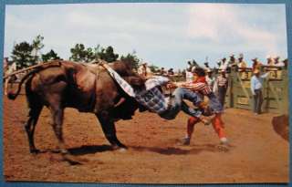 Rodeo Photo Postcard Salinas CA Roberts Murchison 50s  