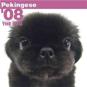  THE DOG Artlist   Pekingese 2008 Calendar