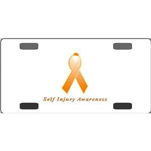  Self Injury Awareness Ribbon Vanity License Plate 