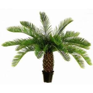  46 Plastic Cycas Palm Plant