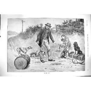  1900 Dadd Antique Print Roadside Scene Man Performing Dogs 