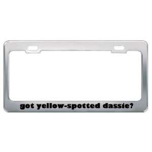 Got Yellow Spotted Dassie? Animals Pets Metal License Plate Frame 