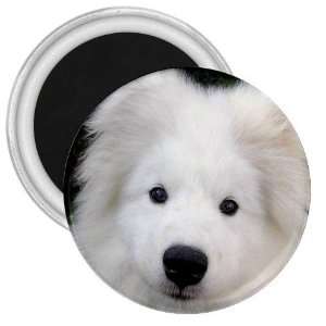  Samoyed Puppy Dog 3in Magnet S0760 