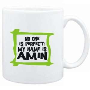    No one is perfect My name is Amin  Male Names