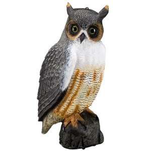  Owl Decoy 20in.