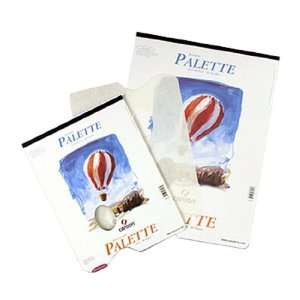  Canson Pad O Palette 12x16 Arts, Crafts & Sewing