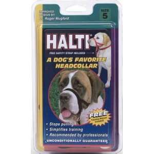   Halter Size 5 (Catalog Category Dog / Training Aids)