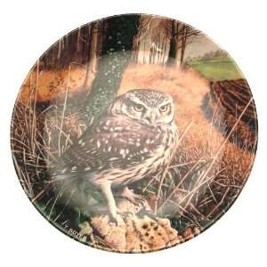  Wedgwood owl plate The Majesty of Owls Little Owl Trevor 