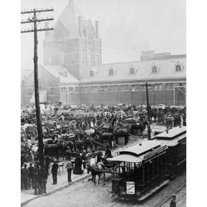  1890 Photo of The Great Market, Kansas City, Mo.