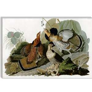 Ruffed Grouse by John James Audubon Canvas Painting Reproduction Art 