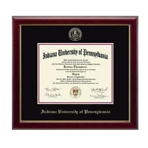   Pennsylvania Crimson Hawks Diploma Frame Hampshire