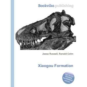  Xiaogou Formation Ronald Cohn Jesse Russell Books