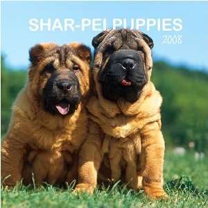  Shar Pei Puppies 2008 Mini Wall Calendar