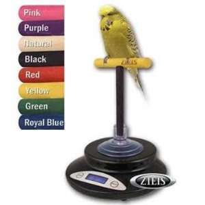    ZIEIS Avian Bird Scale   Custom Color Perch   A42 MTP