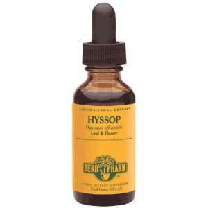 Hyssop Extract