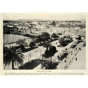  1934 Print Iberian Peninsula Portugal Faro City Palm Trees 