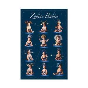  Zodiac Babies Poster Print