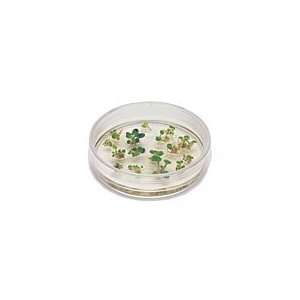  Introduction to Plant Cell Culture Kit Toys & Games