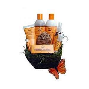  Body Wash, Ivorian Cocoa, 13 oz ( Multi Pack) Beauty