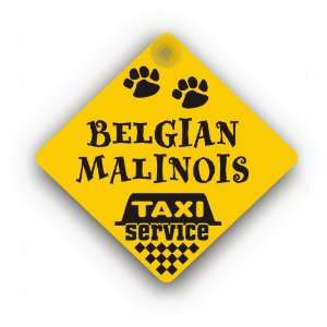  Belgian Malinois Taxi Service 