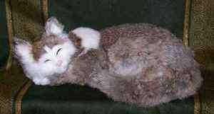 Life Size Rabbit Fur Stuffed Cat * Brown & White * Lifelike  