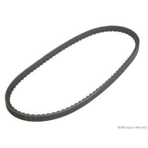  Conti W1002 33187   V Belt Automotive