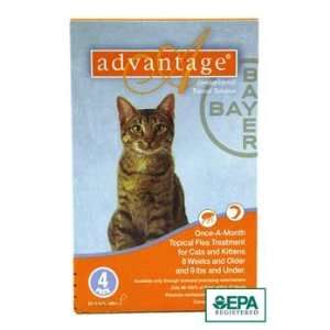  Advantage Orange Cat Small 4pk