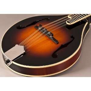   HAND CARVED SOLID TOP THE LOAR A STYLE MANDOLIN Musical Instruments
