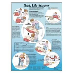  Scientific VR1770UU Glossy Paper Basic Life Support Anatomical Chart 