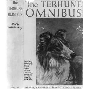  Cover and spine,Albert Payson Terhune,Terhune Omnibus 